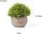 6 Pack Mini Artificial Succulent Small Potted Plants – Colorful Faux Lifelike Desk & Home Office Decor for Indoor Display